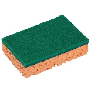 Eponge Basic double face (Lot de 10)