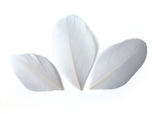 Sachet 3 Gr Plumes Coupees Blanc Ht.60