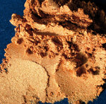 Pigment Colortrix Powertex 40 ml Doré