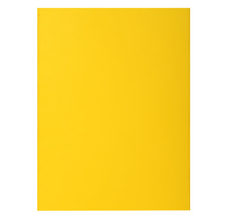 Paquet De 100 Sous-chemises Rock''s 80 - 22x31cm - Exacompta