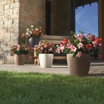 Lechuza jardinière classico color 35 all-in-one muscade 13223