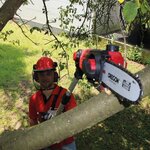Einhell Outil multifonctionnel sans fil GE-HC 18 Li T-Solo