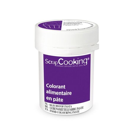 Colorant alimentaire en pâte 20 g - Aubergine