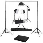 vidaXL Kit de studio photo avec boîtes à lumière et toile de fond