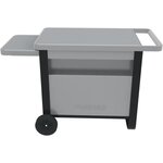 CAMPINGAZ Chariot Deluxe pour plancha a poser 2 brûleurs Blue Flame / Sorio et Master