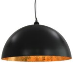 vidaXL 2 Pièces Plafonniers Noir et doré Semi-sphérique 50 cm E27
