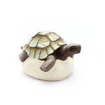 Moule en latex Tortue