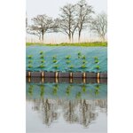 Nature Bâche de sol de contrôle des mauvaises herbes 1x10 m Vert