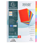 Intercalaires Carte Lustrée 400g 12 Positions - A4 - Couleurs Assorties - X 25 - Exacompta