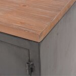 vidaXL Meuble TV 120 x 30 x 43 cm Noir
