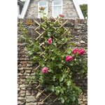 Nature Palissade de jardin 70 x 180 cm Bambou