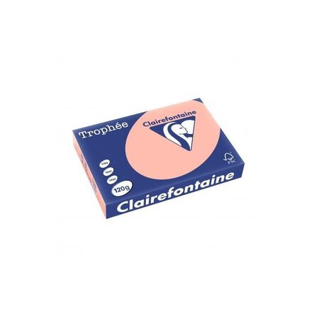 Ramette 250 feuilles papier 120g a4 210x297 mm certifié fsc pêche trophée