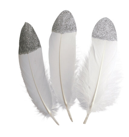 Plumes à bout argenté 4x19 cm 10 pièces