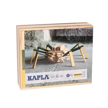 Coffret araignee  75 planchettes coloris naturel et colores