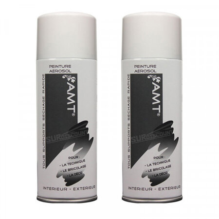 Lot de 2 bombes de peinture - ficelle - amt