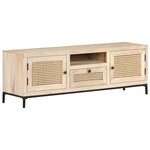 vidaXL Meuble TV 120x30x40 cm Bois de manguier et canne naturelle
