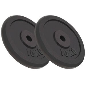 vidaXL Plaque de poids 2 Pièces 2x10 kg Fonte