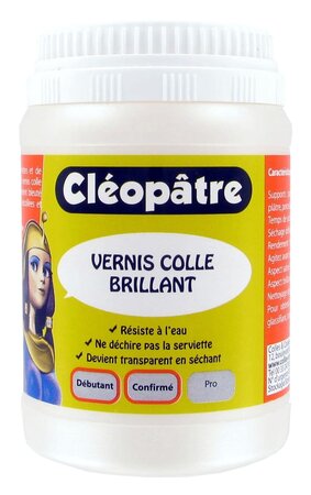 Vernis colle brillant 250 g