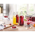Leifheit dénoyauteur à cerises cherrymat blanc 37200
