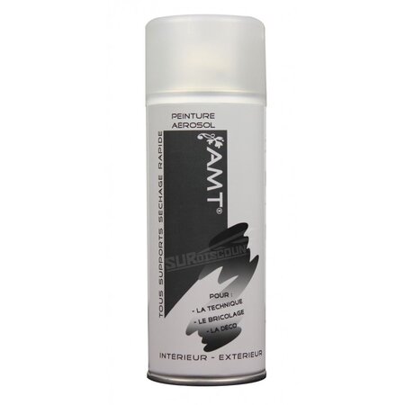 Peinture aérosol - vernis mat - bombe de peinture - amt - tous supports