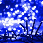 vidaXL Guirlande lumineuse à LED groupées 2000 LED Bleu 17 m PVC