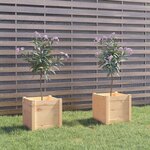 vidaXL Jardinières d'extérieur 2 Pièces 40x40x40 cm Bois de pin massif