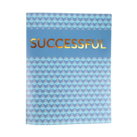 Classeur souple pour format a4 - 2 anneaux 15m - holographie successful