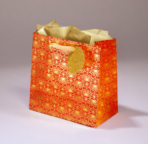 Sac cadeau miniature corail pmc
l 18 x h 18