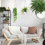 Autocollant mural suspensions plantes
