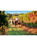 Coffret cadeau - WONDERBOX - Balade à cheval en duo