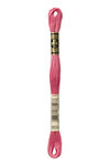 Fil Mouliné DMC Gold Concept 8M Col. 3833 Broderie et Point de Croix