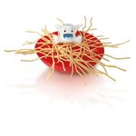 Megableu jeu de société - yéti dans mes spaghettis