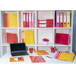 Boite De Classement Dos 80mm Iderama - A4 - Couleurs Assorties - X 6 - Exacompta