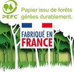 Carte meilleurs voeux bonne année étoile flocon rouge brillant avec enveloppe
