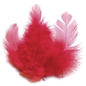Plume de coq Rouge 10 cm 3g