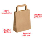 Lot de 500 sacs cabas en papier kraft brun marron havane avec poignée plate 320 x 220 x 280 mm 19 litres résistant papier 80g/m² non imprimé