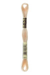 Fil Mouliné DMC Gold Concept 8M Col. 951 Broderie et Point de Croix