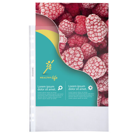 Sachet De 100 Pochettes Perforées Polypropylène Grainé Qualité + - A4 - Cristal - X 10 - Exacompta
