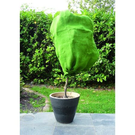 VILMORIN Housse d'hivernage en jute - 0,80 x 1m - Vert