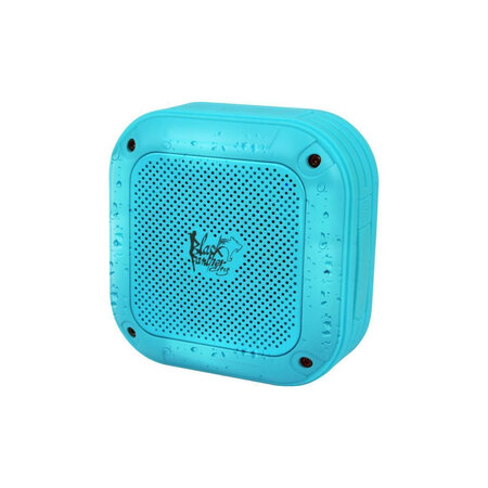 Black Panther City B-splash Enceinte Nomade Bluetooth Sport Waterproof Bleue