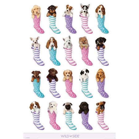 Poster chiots et bottes