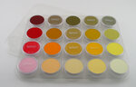 Plateau (vide) pour 20 couleurs Panpastel