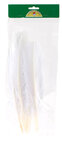 Plumes indiennes pour activités manuelles enfant 10 plumes blanches