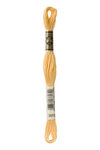 Fil Mouliné DMC Gold Concept 8M Col. 3855 Broderie et Point de Croix