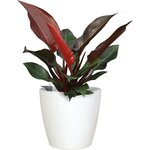 ARTEVASI - Pot san remo auto-arrosage 30cm blanc 30 x 30 x h27,3 cm - 0,82l