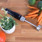 LIVOO DOP202 Mixeur plongeant 800W - Noir + Gris