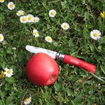 Mon premier couteau Opinel rouge n°07