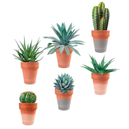 Autocollant mural pots de plantes