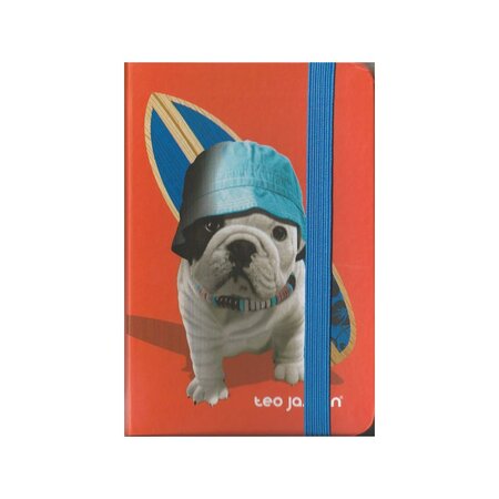 Téo jasmin - carnet rigide téo dude (surfer)