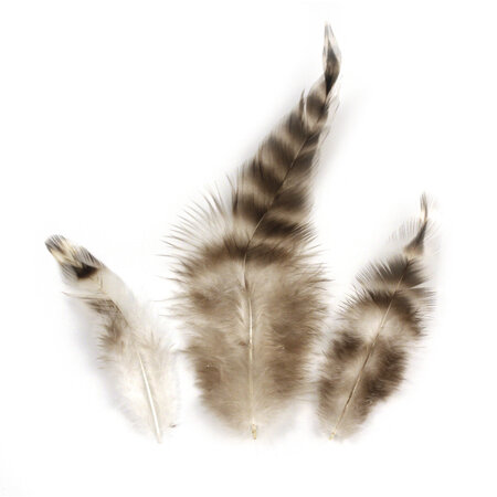 Plume de coq Chinchilla 7 5/9 cm 3 g